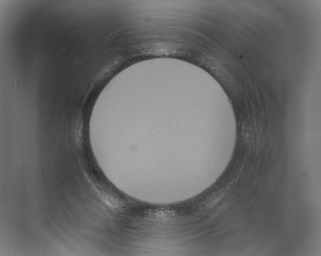 X0000071900304200608041350