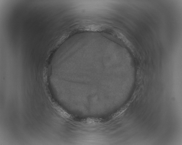 X0000071900305200608041350