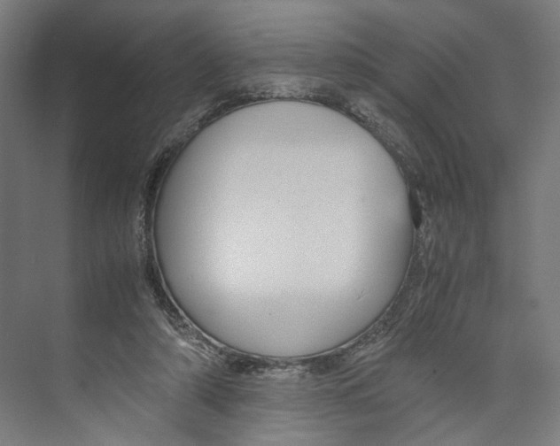 X0000071900306200608041350