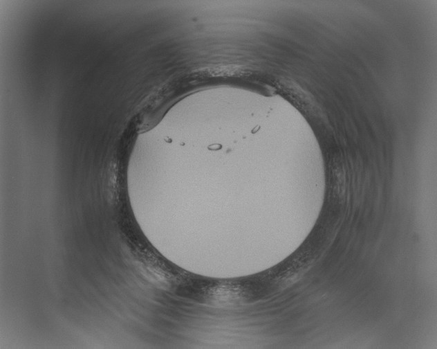 X0000071900308200608041350