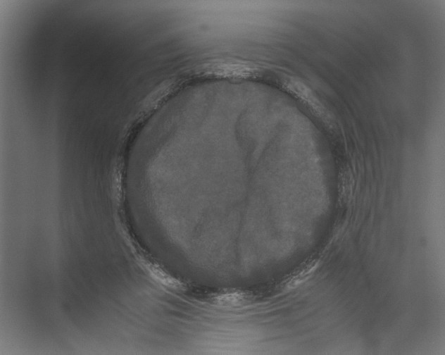 X0000071900309200608041350