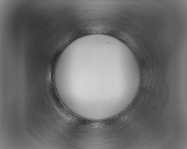 X0000071900310200608041350