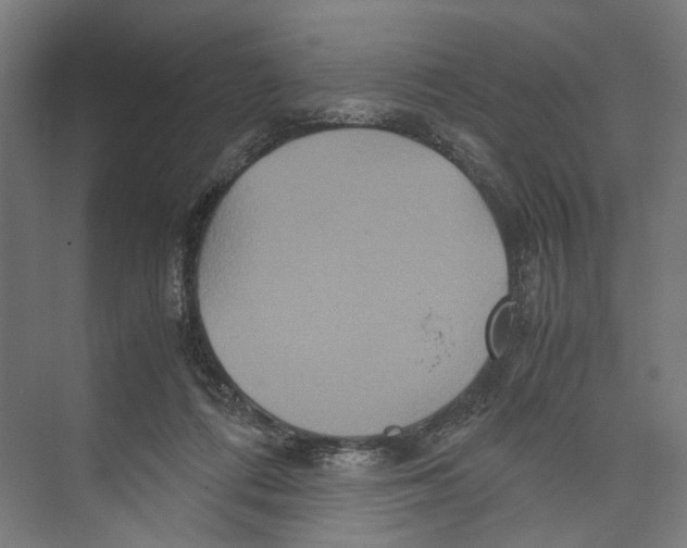 X0000071900312200608041350