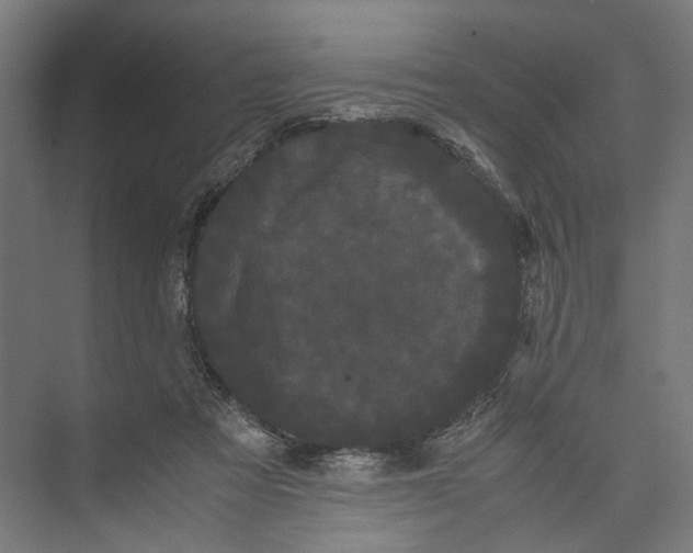 X0000071900313200608041350