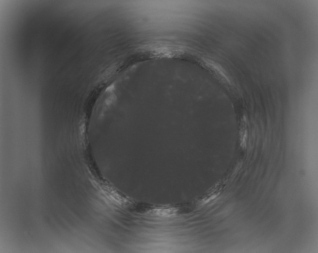 X0000071900314200608041350