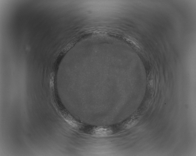 X0000071900315200608041349