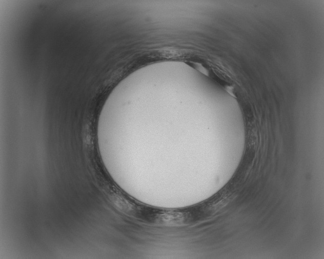 X0000071900317200608041349