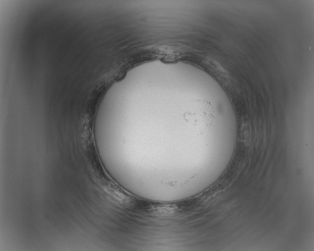 X0000071900318200608041349