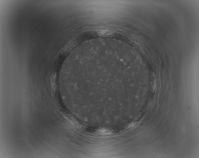 X0000071900319200608041349