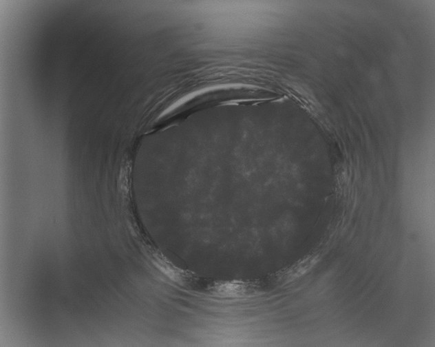 X0000071900325200608041349