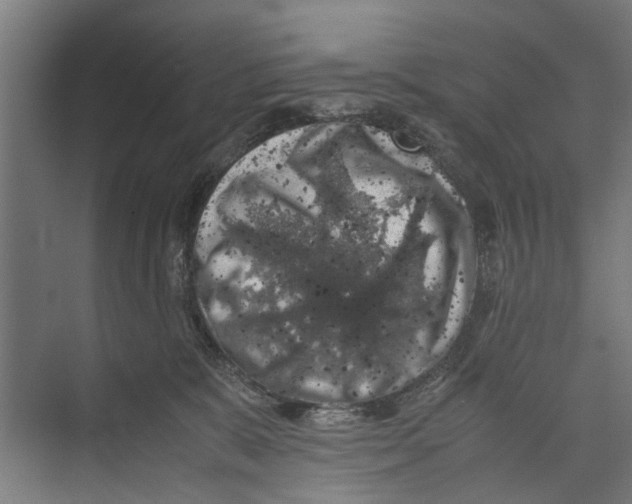 X0000071900327200608041349