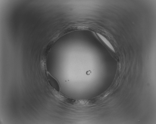 X0000071900329200608041349