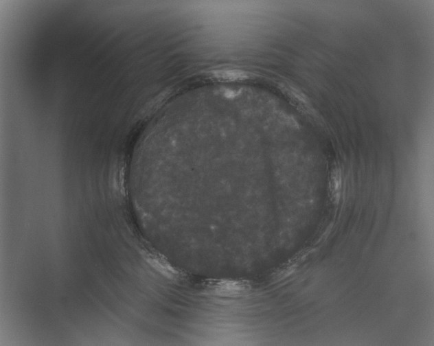 X0000071900330200608041349