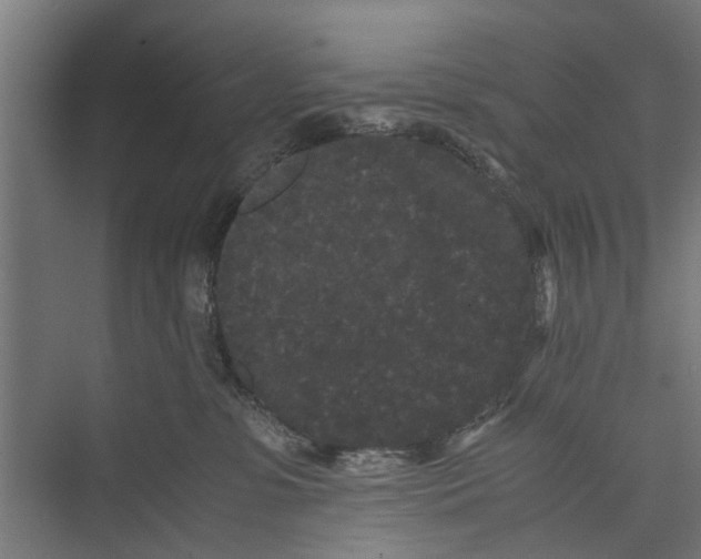 X0000071900331200608041349