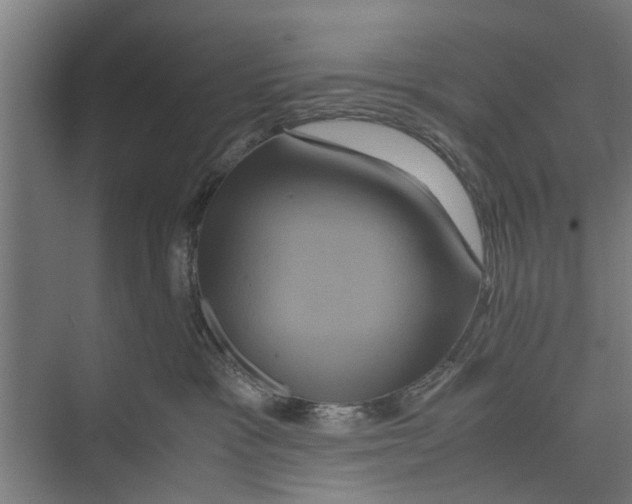 X0000071900333200608041349