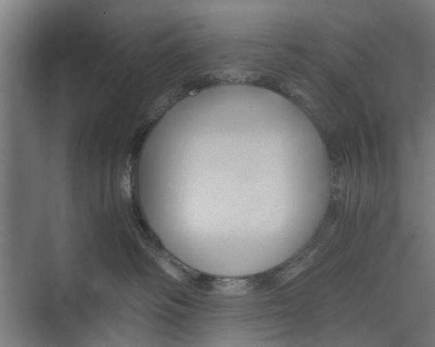 X0000071900334200608041349