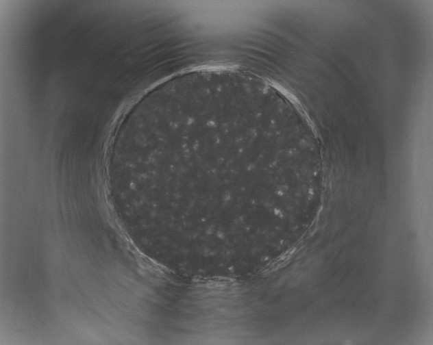 X0000071900337200608041348