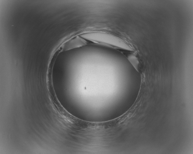 X0000071900340200608041348