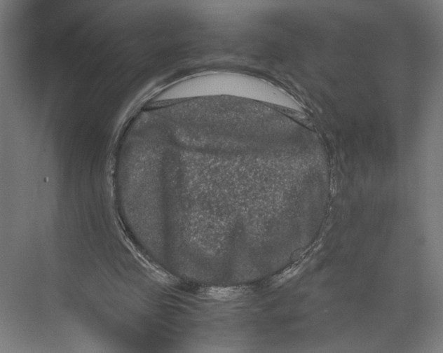 X0000071900341200608041348