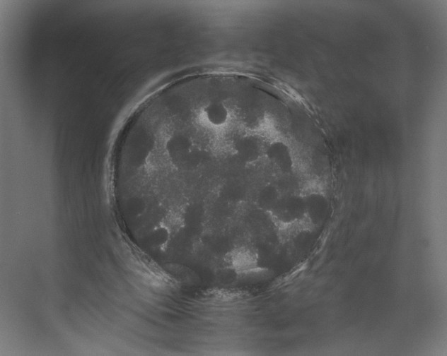 X0000071900343200608041348