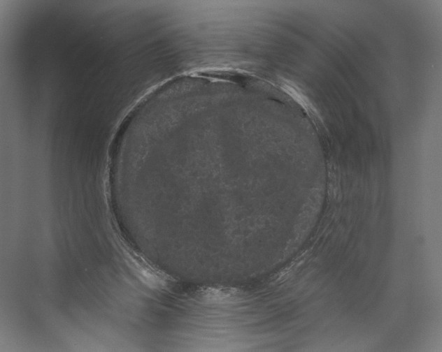 X0000071900346200608041348