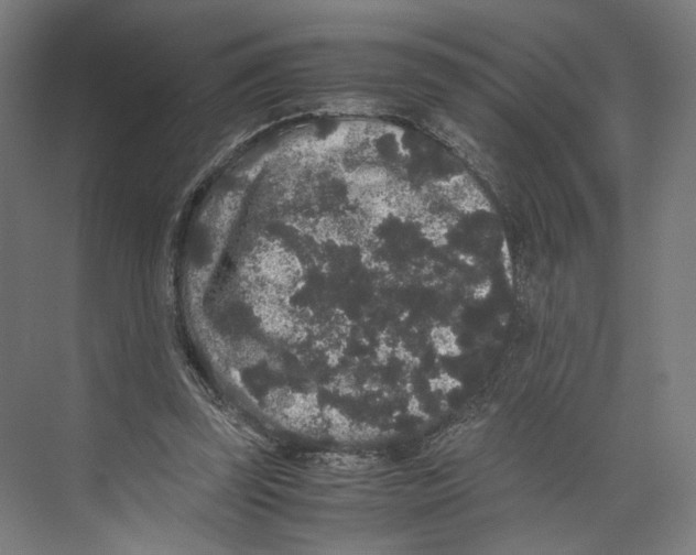 X0000071900347200608041348