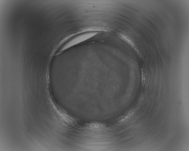 X0000071900348200608041349