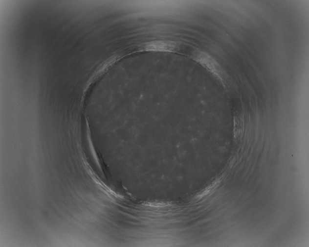 X0000071900349200608041349