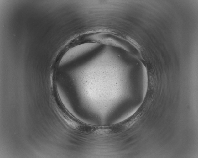 X0000071900350200608041349