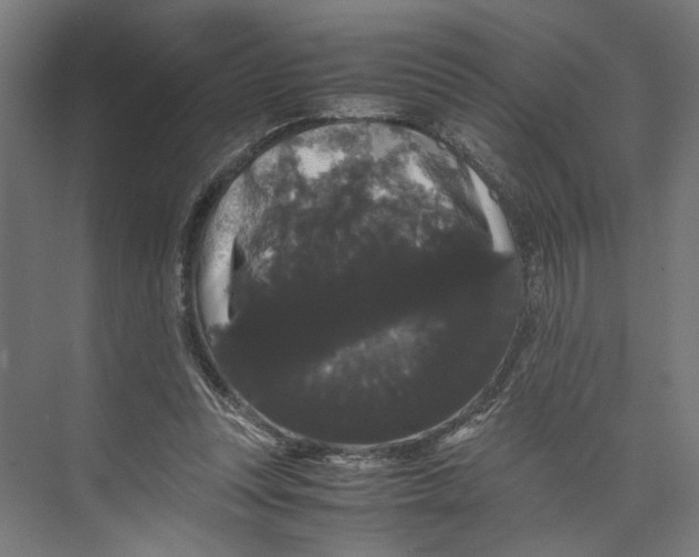 X0000071900351200608041349