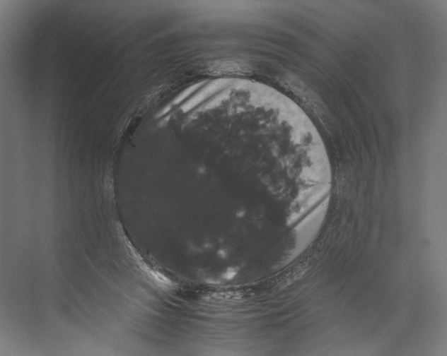 X0000071900353200608041349