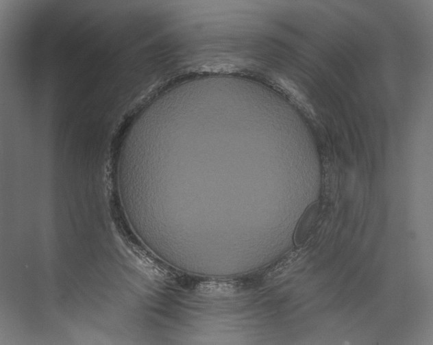 X0000071900354200608041349