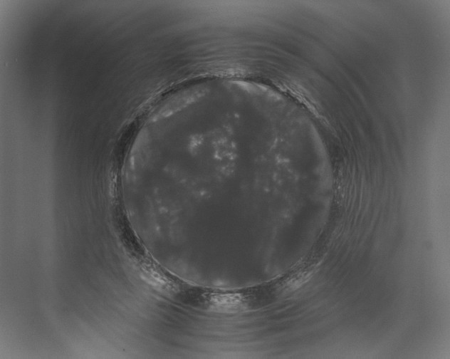 X0000071900355200608041349