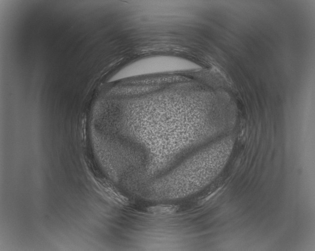 X0000071900356200608041349