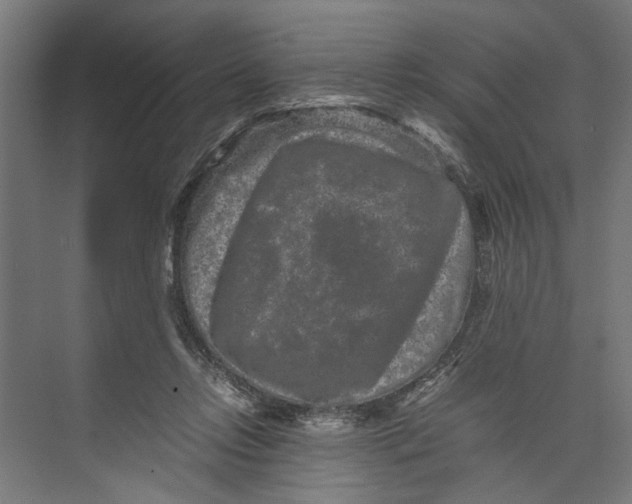 X0000071900358200608041349