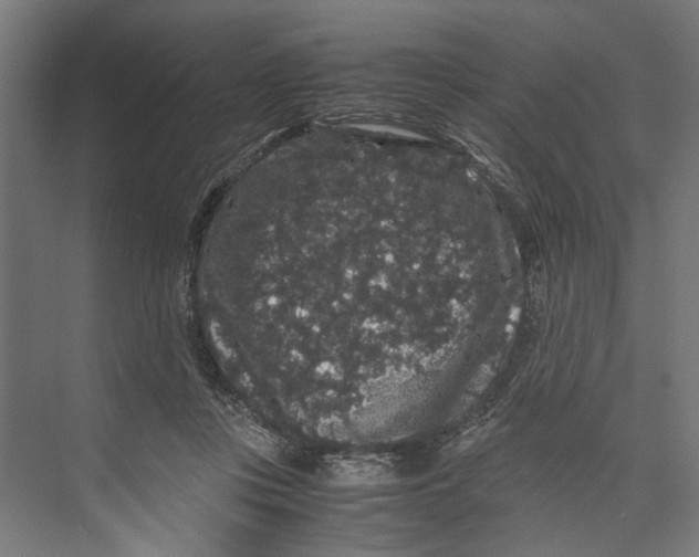 X0000071900359200608041349