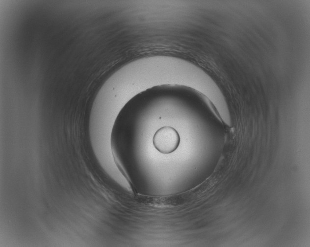 X0000071900360200608041349