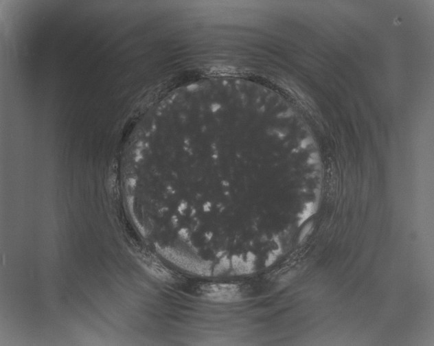 X0000071900361200608041349