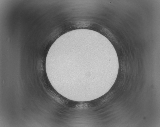 X0000071900362200608041349