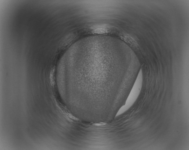 X0000071900364200608041349