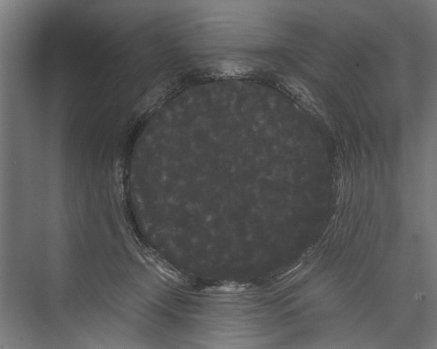 X0000071900366200608041349