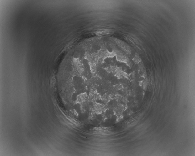 X0000071900367200608041349