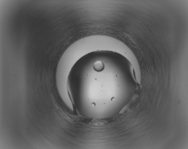 X0000071900368200608041349