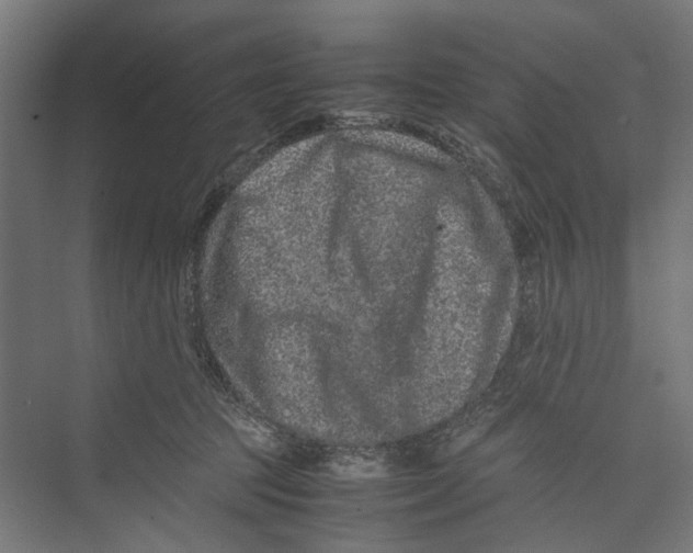 X0000071900369200608041349