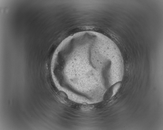 X0000071900373200608041349