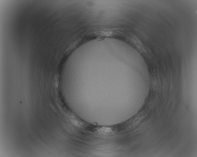 X0000071900374200608041349