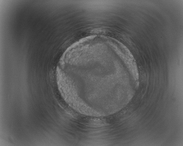 X0000071900375200608041349