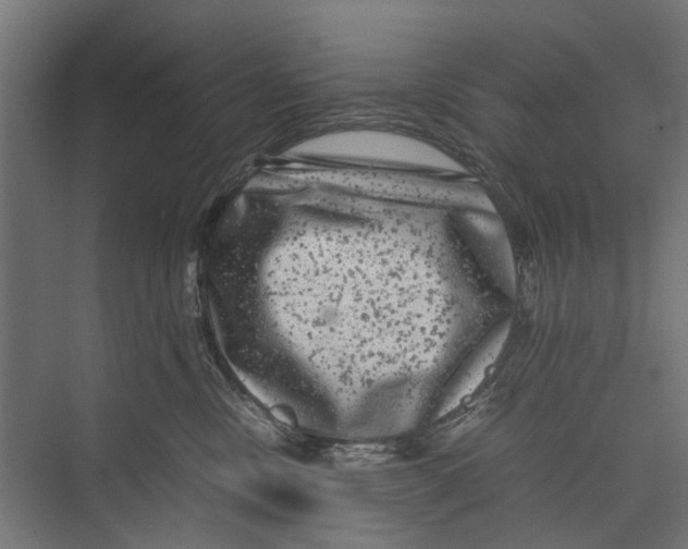 X0000071900378200608041349