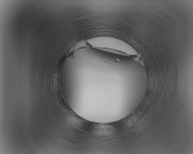 X0000071900379200608041349