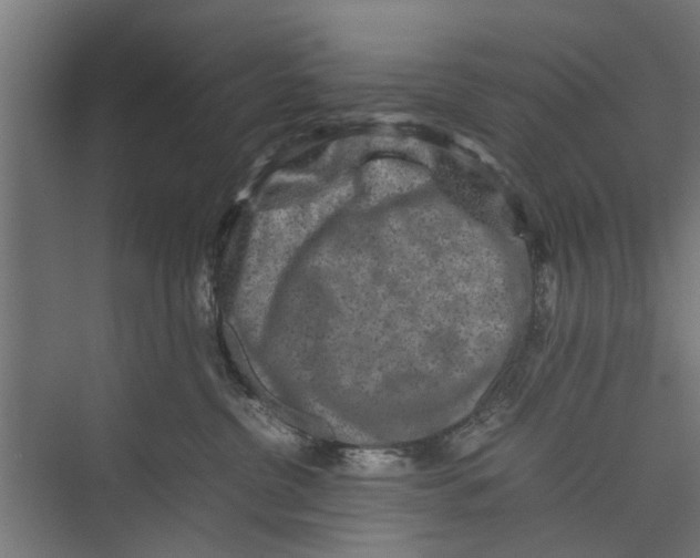 X0000071900380200608041349